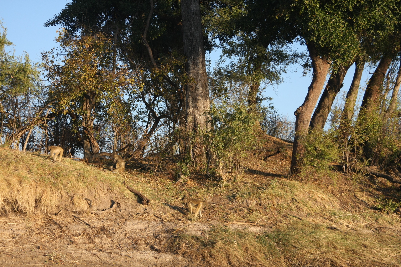 [33690] 2016_07_04_11_17_20_Africa_Canon_EOS_40D_IMG__13256.jpg