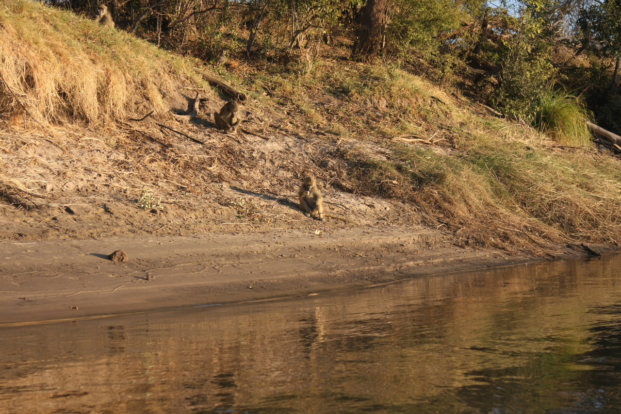 [33764] 2016_07_04_11_19_33_Africa_Canon_EOS_40D_IMG__00203.jpg