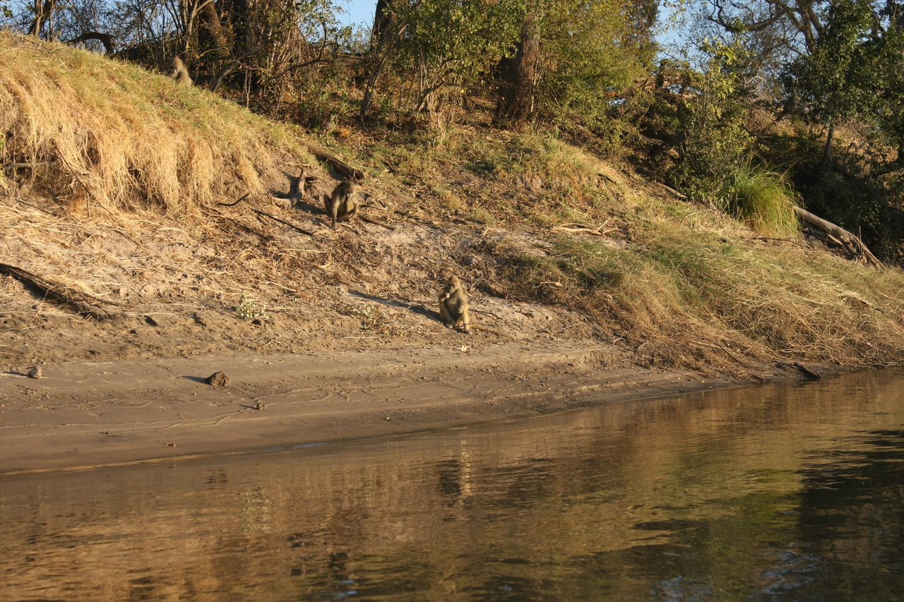 [33771] 2016_07_04_11_19_40_Africa_Canon_EOS_40D_IMG__00206.jpg