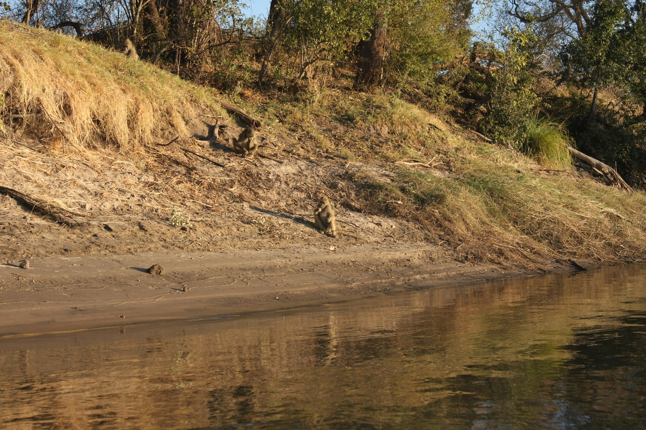 [33776] 2016_07_04_11_19_40_Africa_Canon_EOS_40D_IMG__13287.jpg