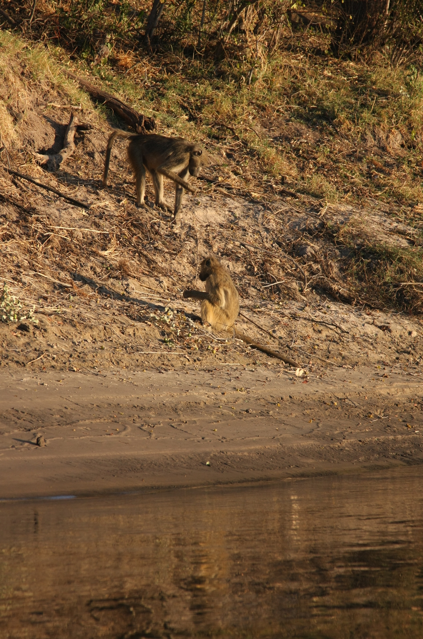 [33805] 2016_07_04_11_20_12_Africa_Canon_EOS_40D_IMG__00219.jpg