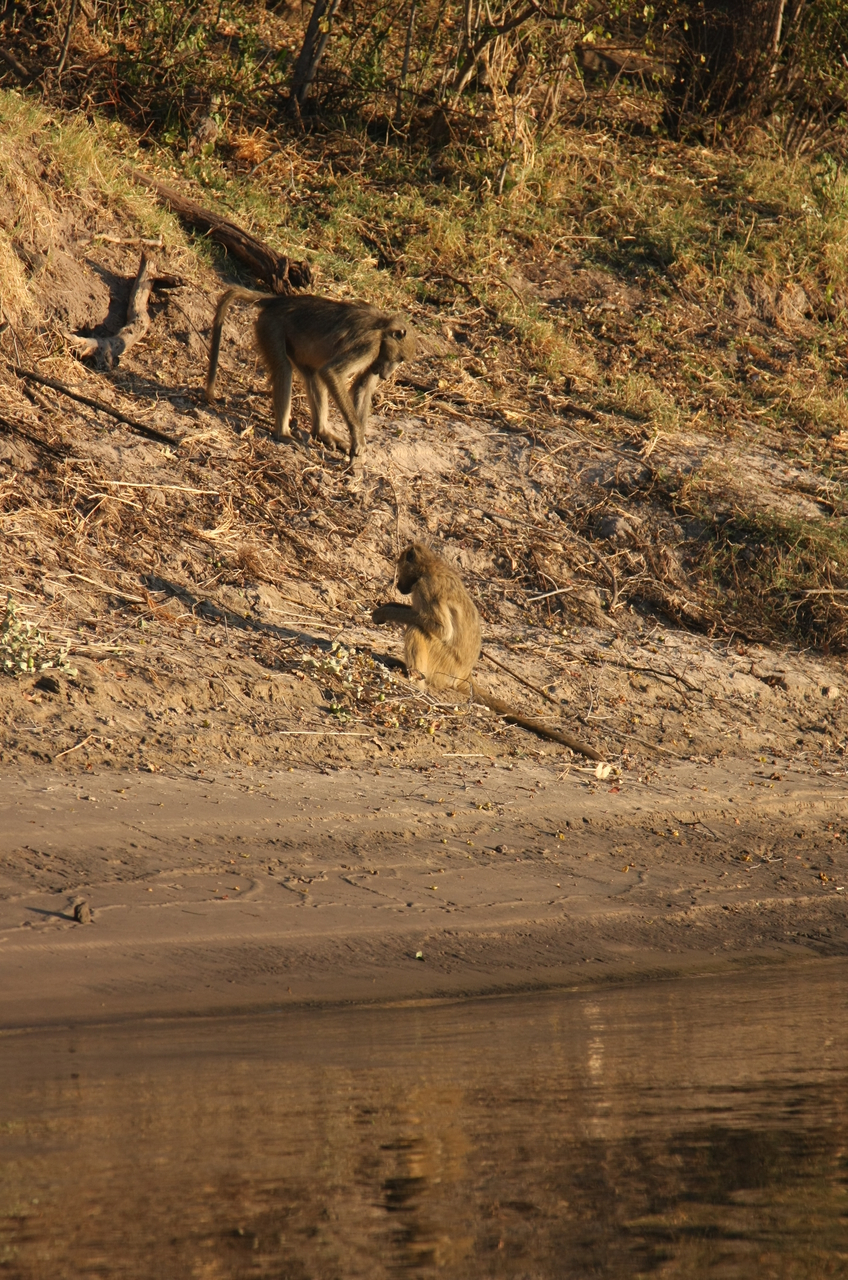 [33809] 2016_07_04_11_20_12_Africa_Canon_EOS_40D_IMG__13299.jpg