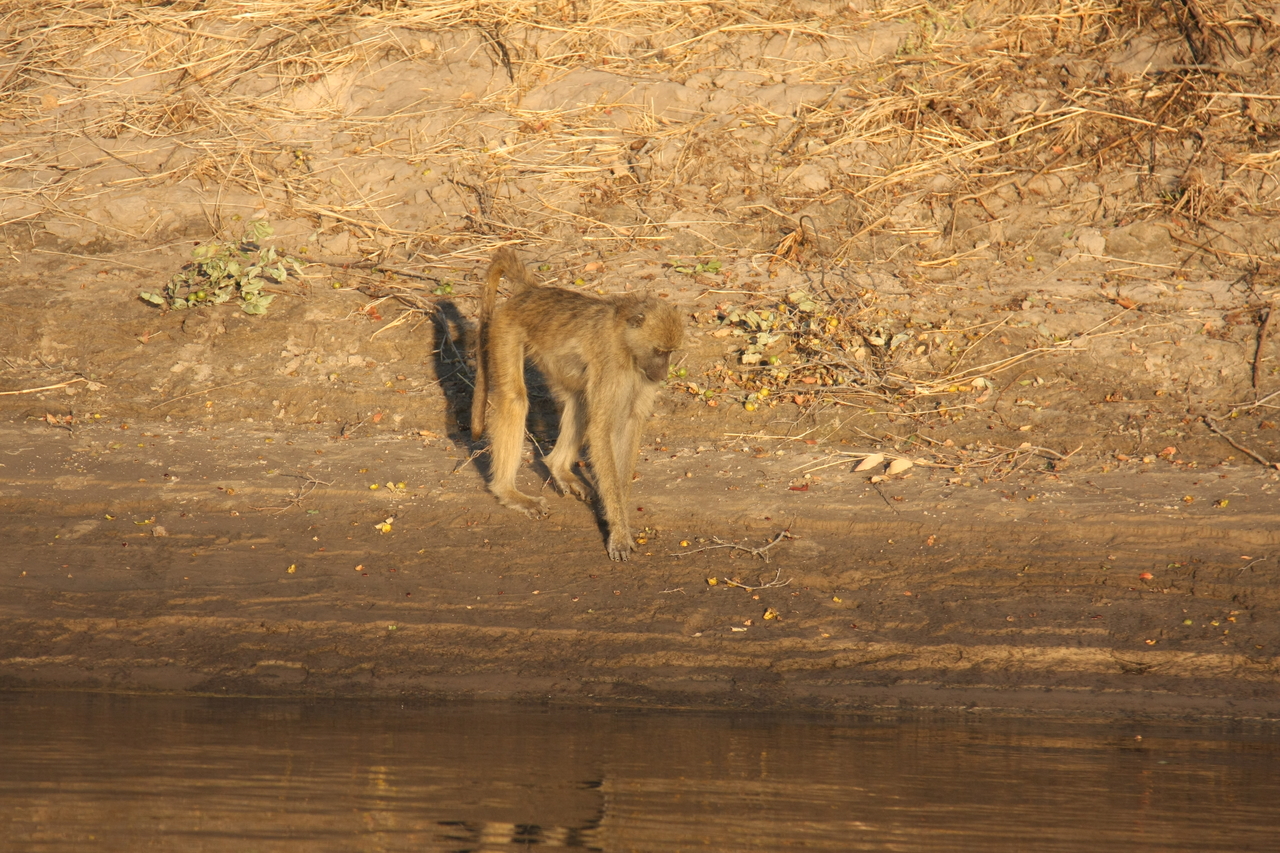 [33855] 2016_07_04_11_22_48_Africa_Canon_EOS_40D_IMG__05870.jpg