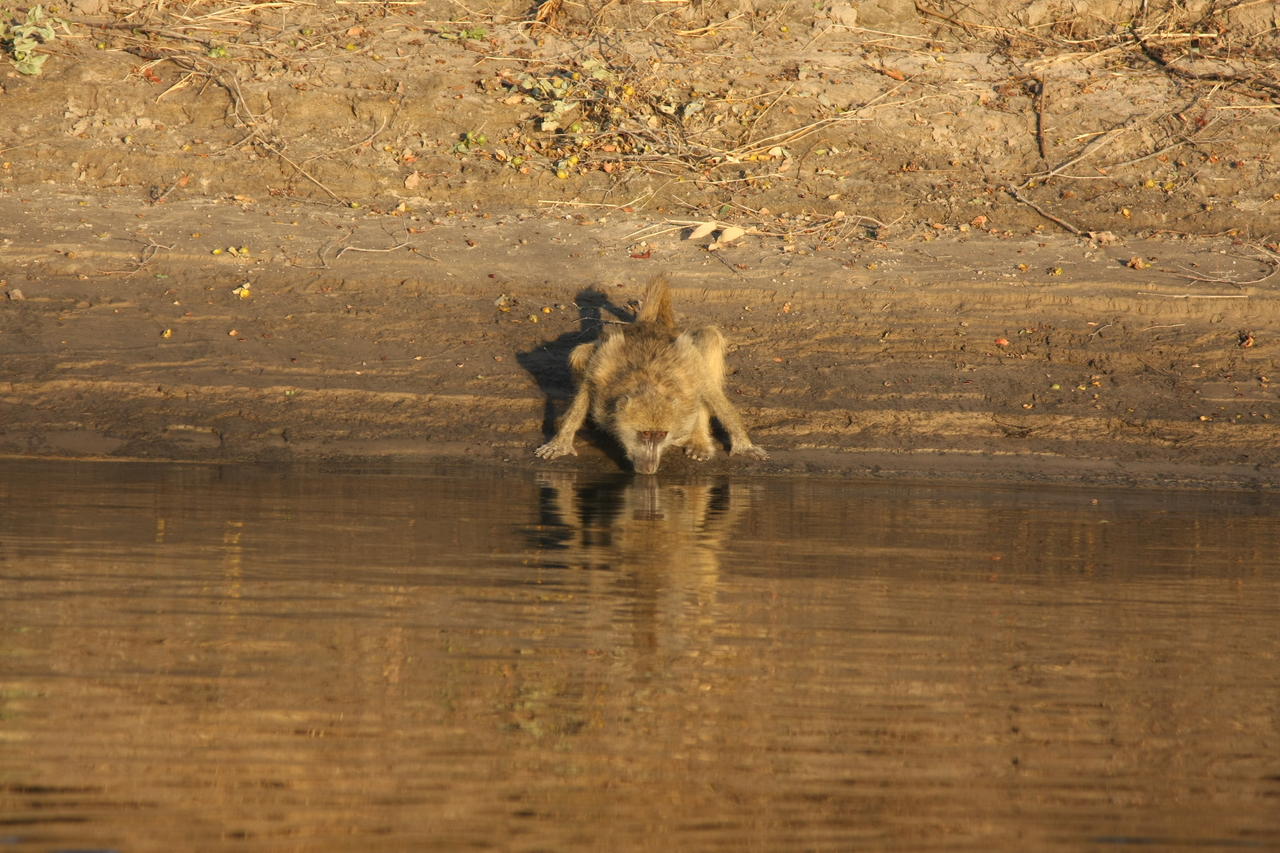 [33866] 2016_07_04_11_22_55_Africa_Canon_EOS_40D_IMG__00240.jpg