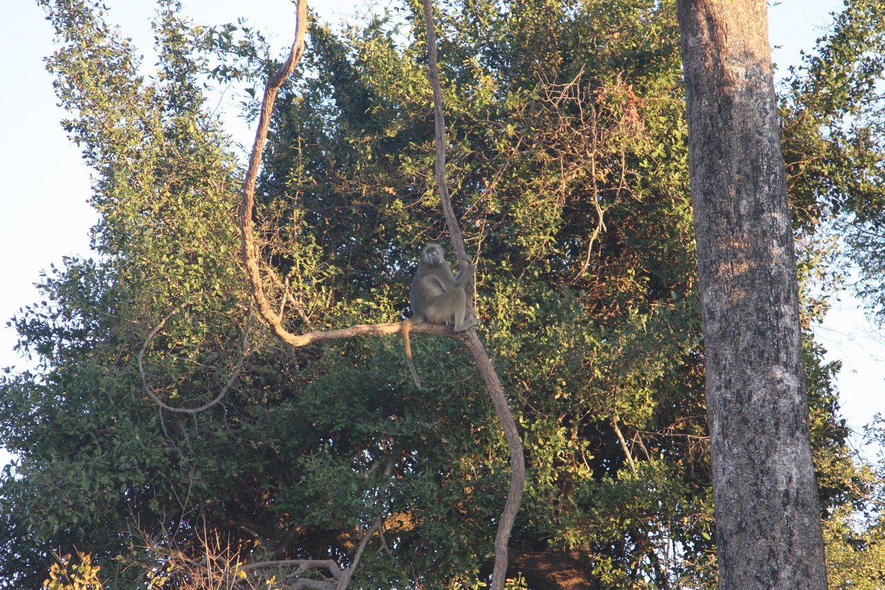 [34050] 2016_07_04_11_28_51_Africa_Canon_EOS_40D_IMG__13388.jpg