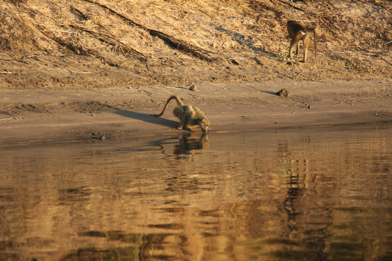 [34055] 2016_07_04_11_30_40_Africa_Canon_EOS_40D_IMG__00309.jpg