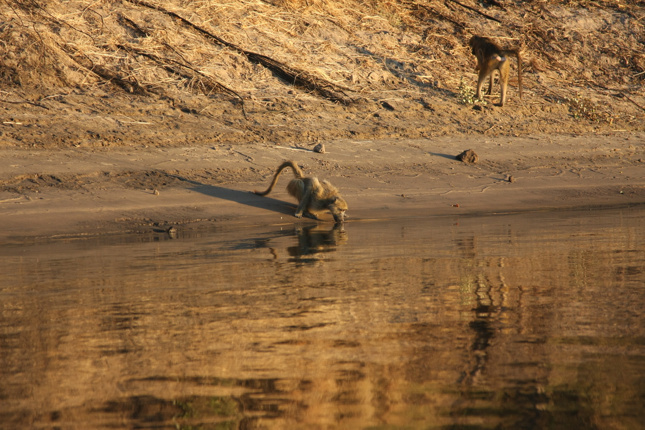 [34062] 2016_07_04_11_30_40_Africa_Canon_EOS_40D_IMG__13392.jpg