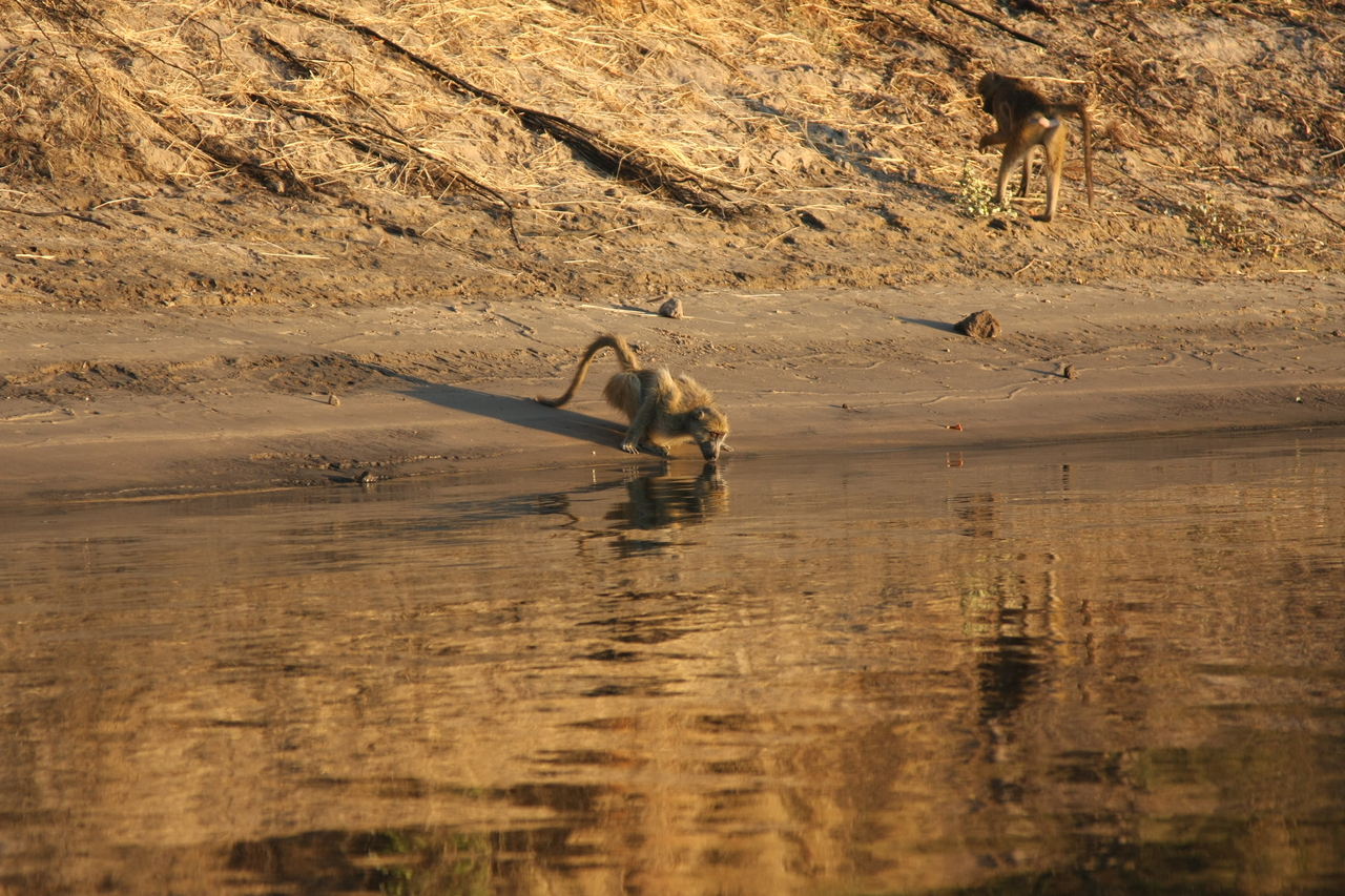[34066] 2016_07_04_11_30_41_Africa_Canon_EOS_40D_IMG__13394.jpg