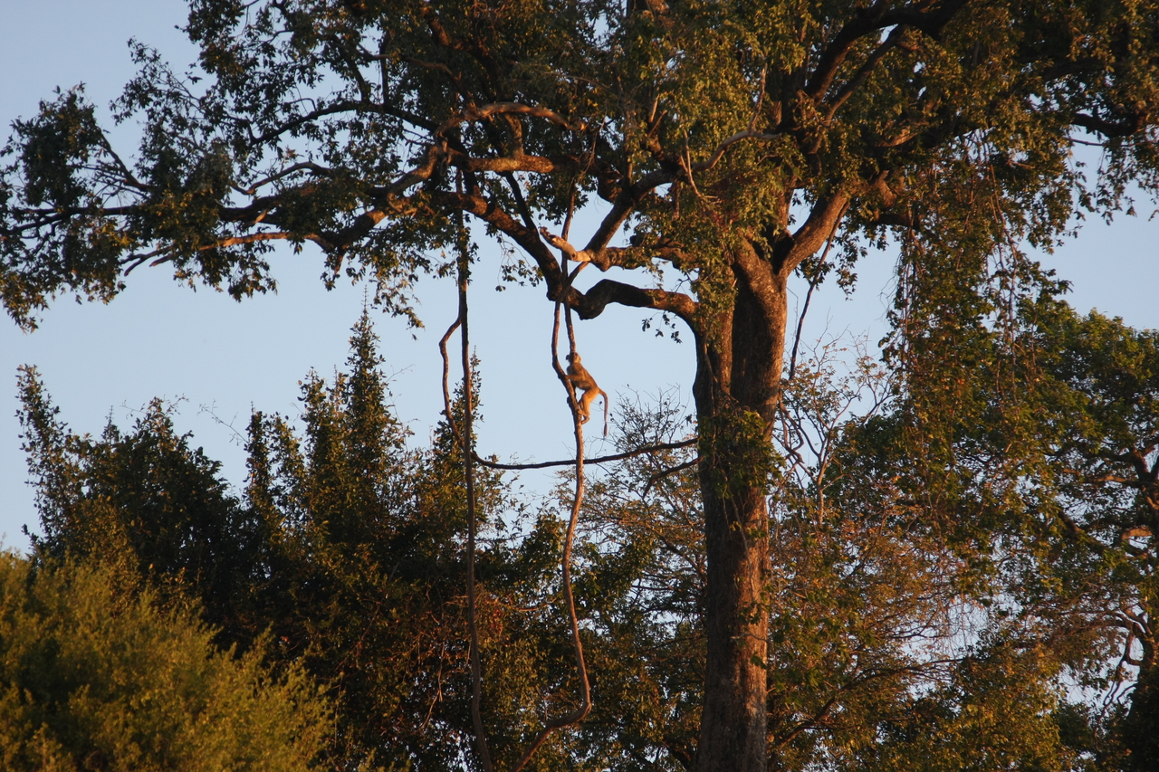 [34081] 2016_07_04_11_32_26_Africa_Canon_EOS_40D_IMG__13398.jpg