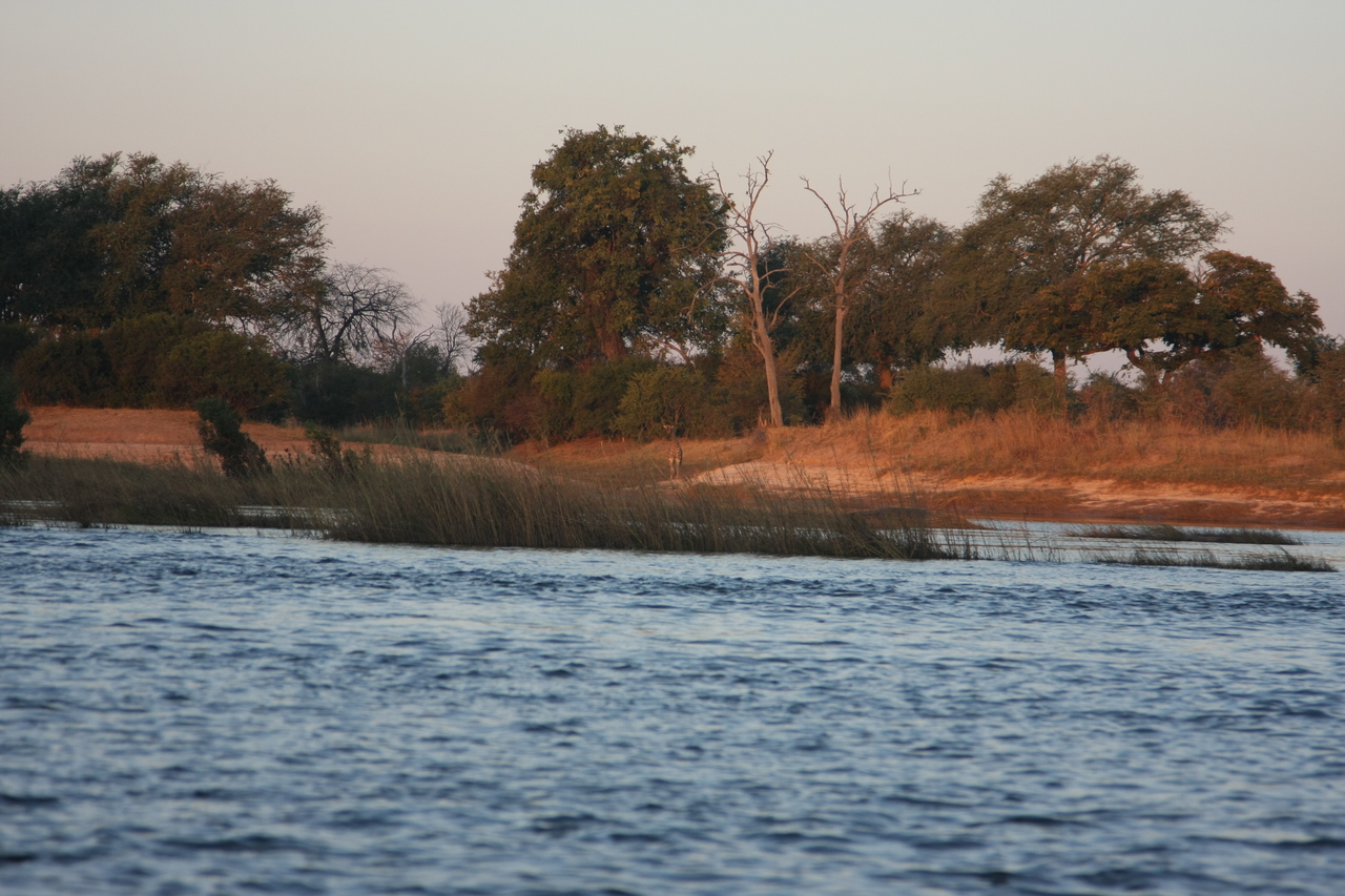 [34132] 2016_07_04_11_38_21_Africa_Canon_EOS_40D_IMG__05969.jpg