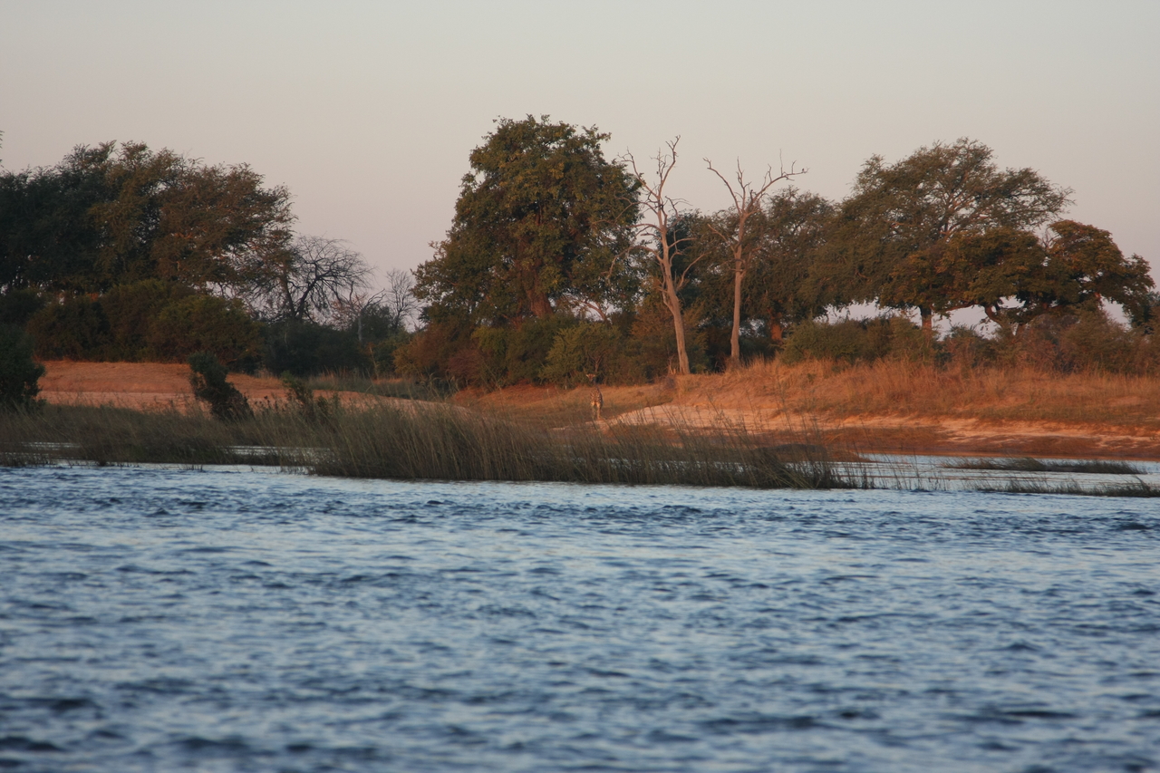 [34135] 2016_07_04_11_38_21_Africa_Canon_EOS_40D_IMG__13419.jpg
