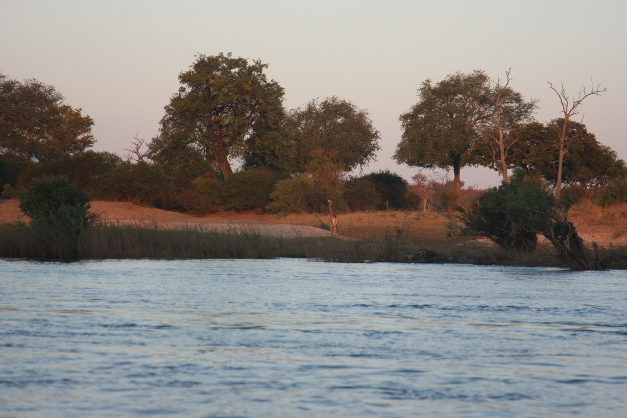 [34147] 2016_07_04_11_39_14_Africa_Canon_EOS_40D_IMG__00343.jpg