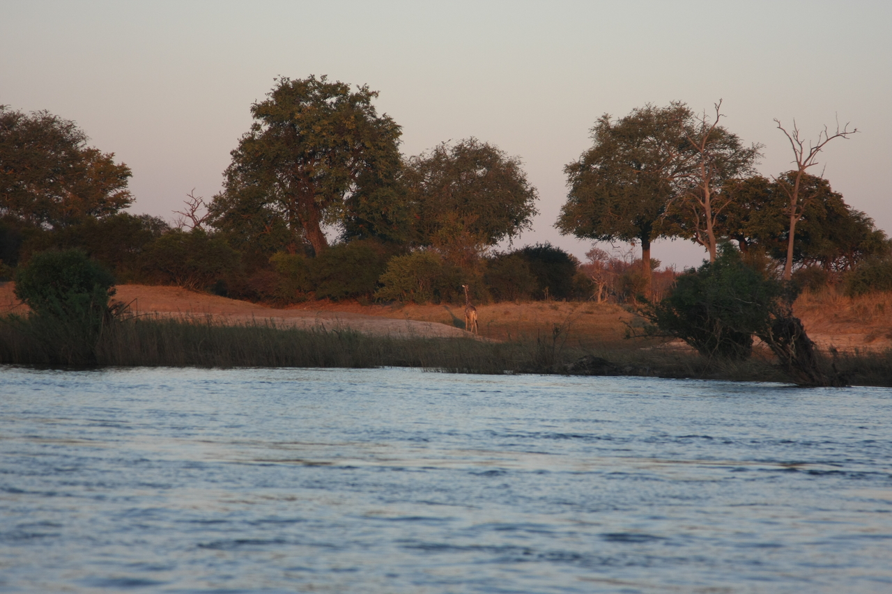 [34152] 2016_07_04_11_39_14_Africa_Canon_EOS_40D_IMG__13424.jpg