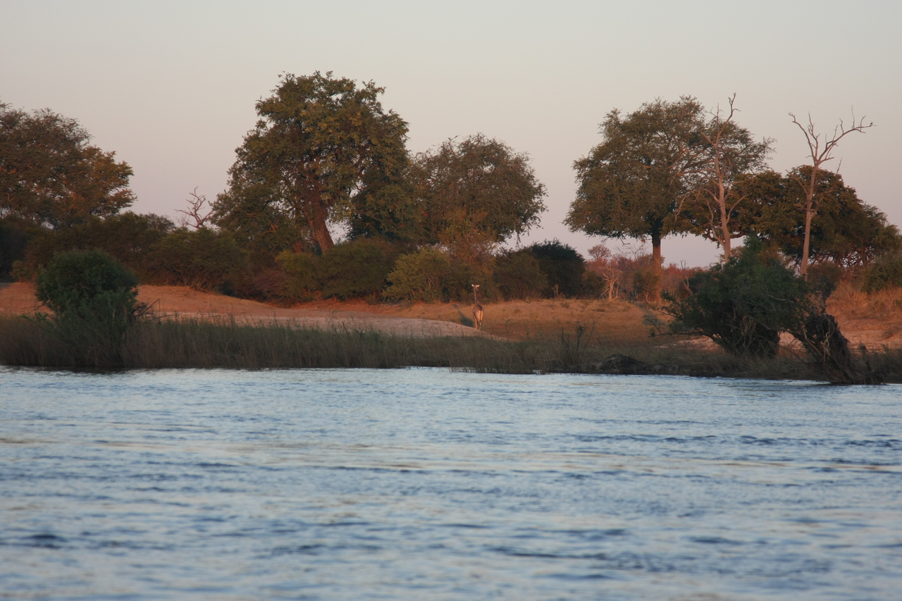 [34154] 2016_07_04_11_39_15_Africa_Canon_EOS_40D_IMG__00344.jpg