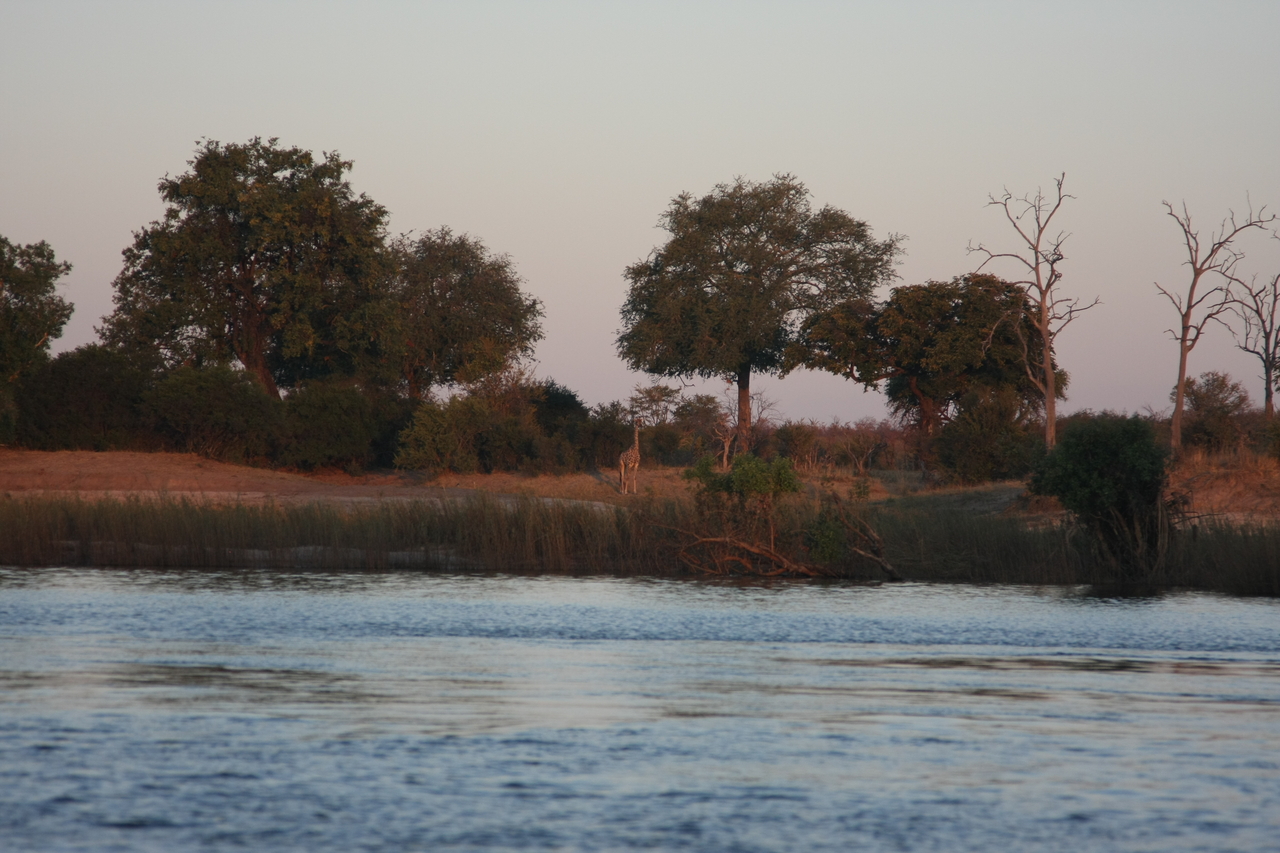 [34164] 2016_07_04_11_39_49_Africa_Canon_EOS_40D_IMG__05983.jpg