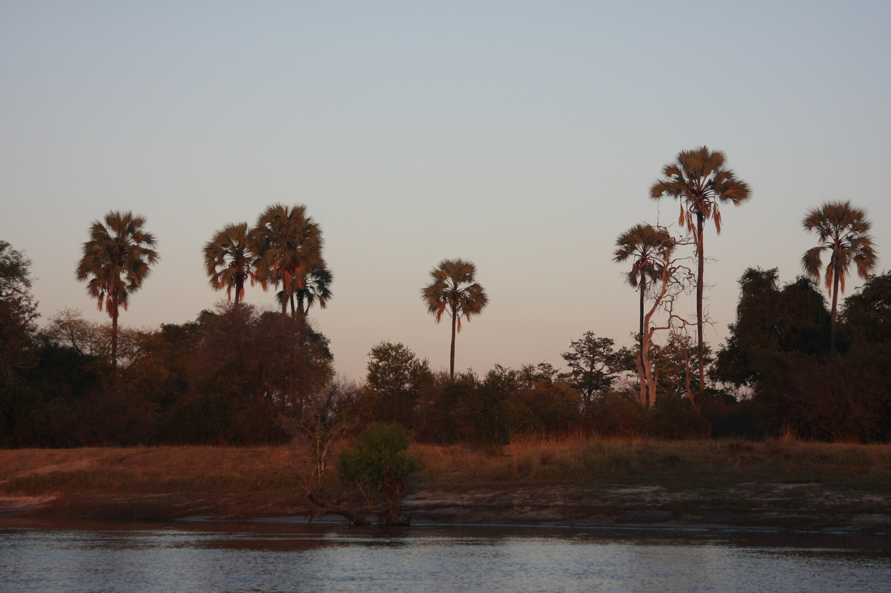 [34171] 2016_07_04_11_41_30_Africa_Canon_EOS_40D_IMG__13432.jpg