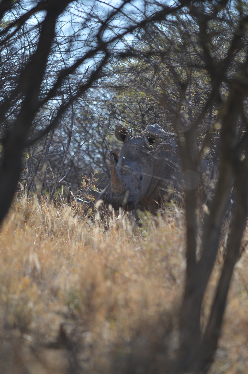 [4486] 2016_06_23_00_28_33_Africa_NIKON_D5100_IMG__00015.jpg