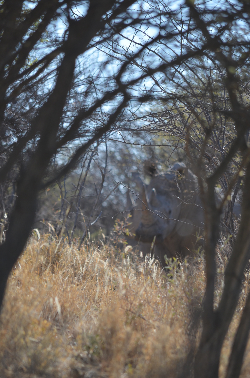 [4491] 2016_06_23_00_28_53_Africa_NIKON_D5100_IMG__04639.jpg