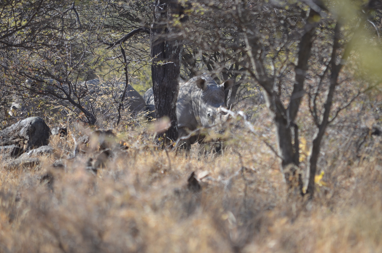 [4499] 2016_06_23_00_36_13_Africa_NIKON_D5100_IMG__04643.jpg