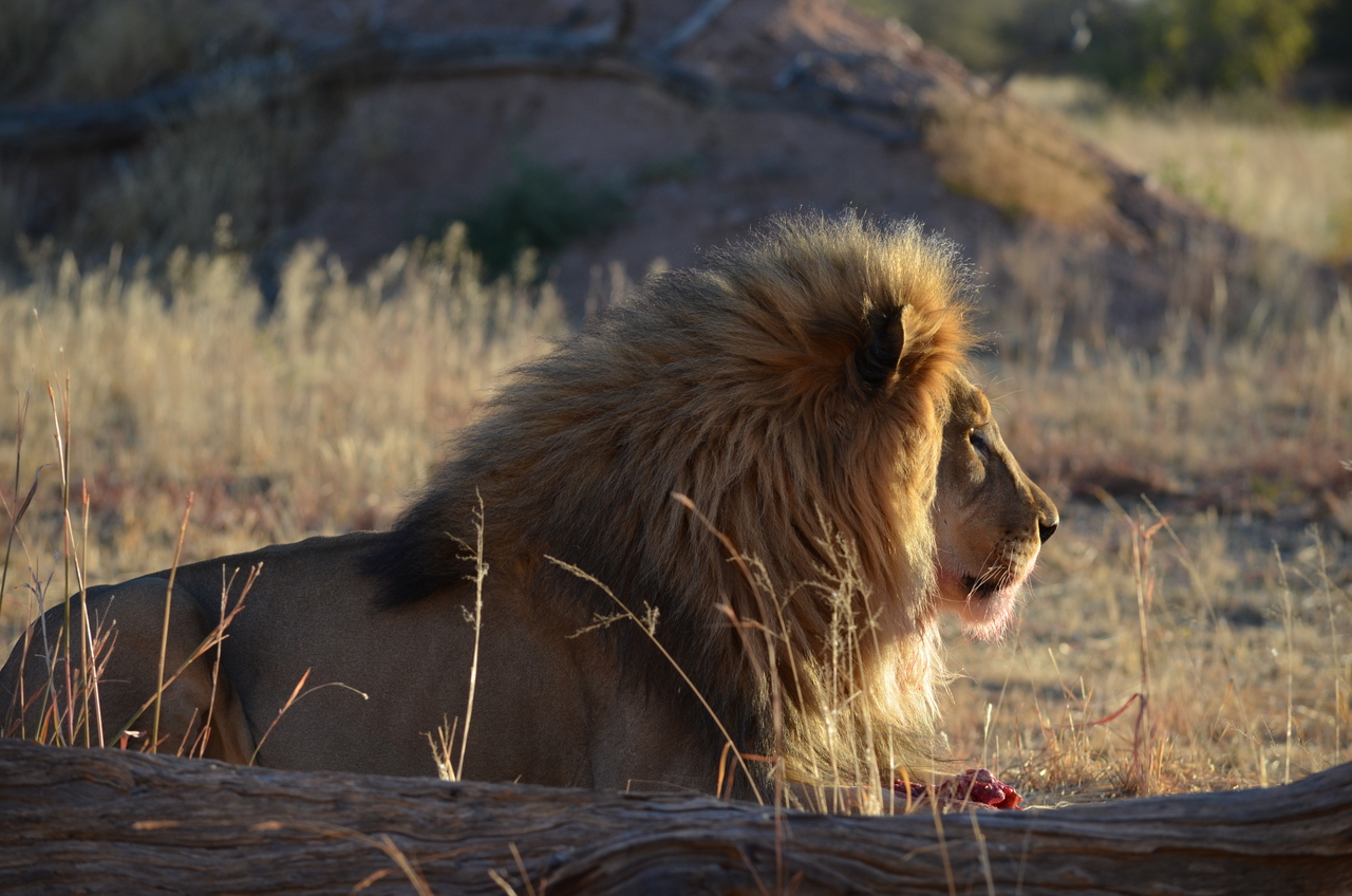 [5175] 2016_06_23_07_55_08_Africa_NIKON_D5100_IMG__04736.jpg