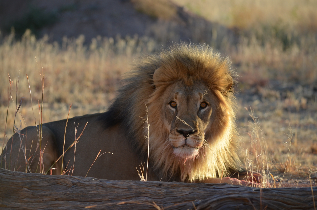 [5184] 2016_06_23_07_57_26_Africa_NIKON_D5100_IMG__00119.jpg
