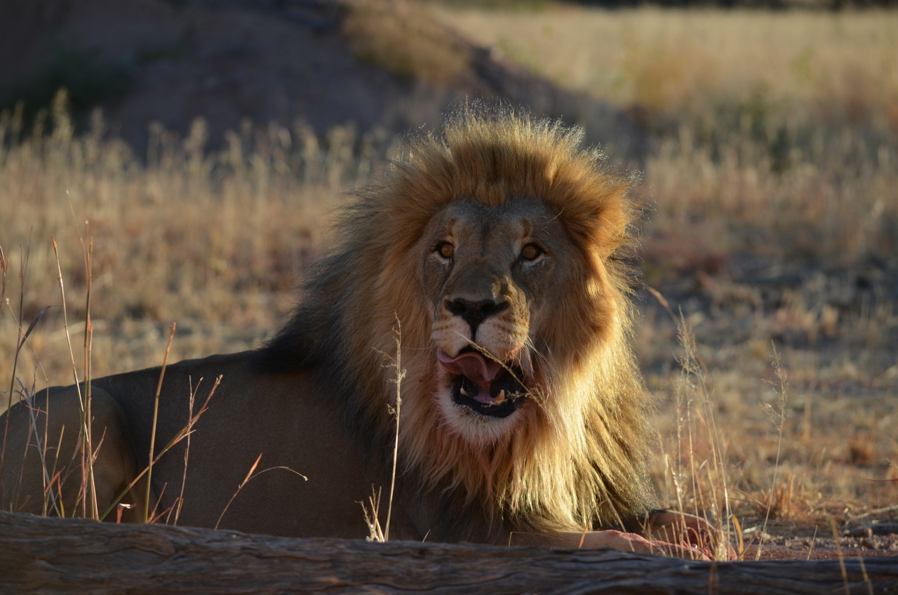 [5191] 2016_06_23_07_57_29_Africa_NIKON_D5100_IMG__04744.jpg