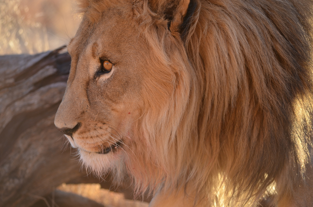 [5225] 2016_06_23_08_02_49_Africa_NIKON_D5100_IMG__04761.jpg