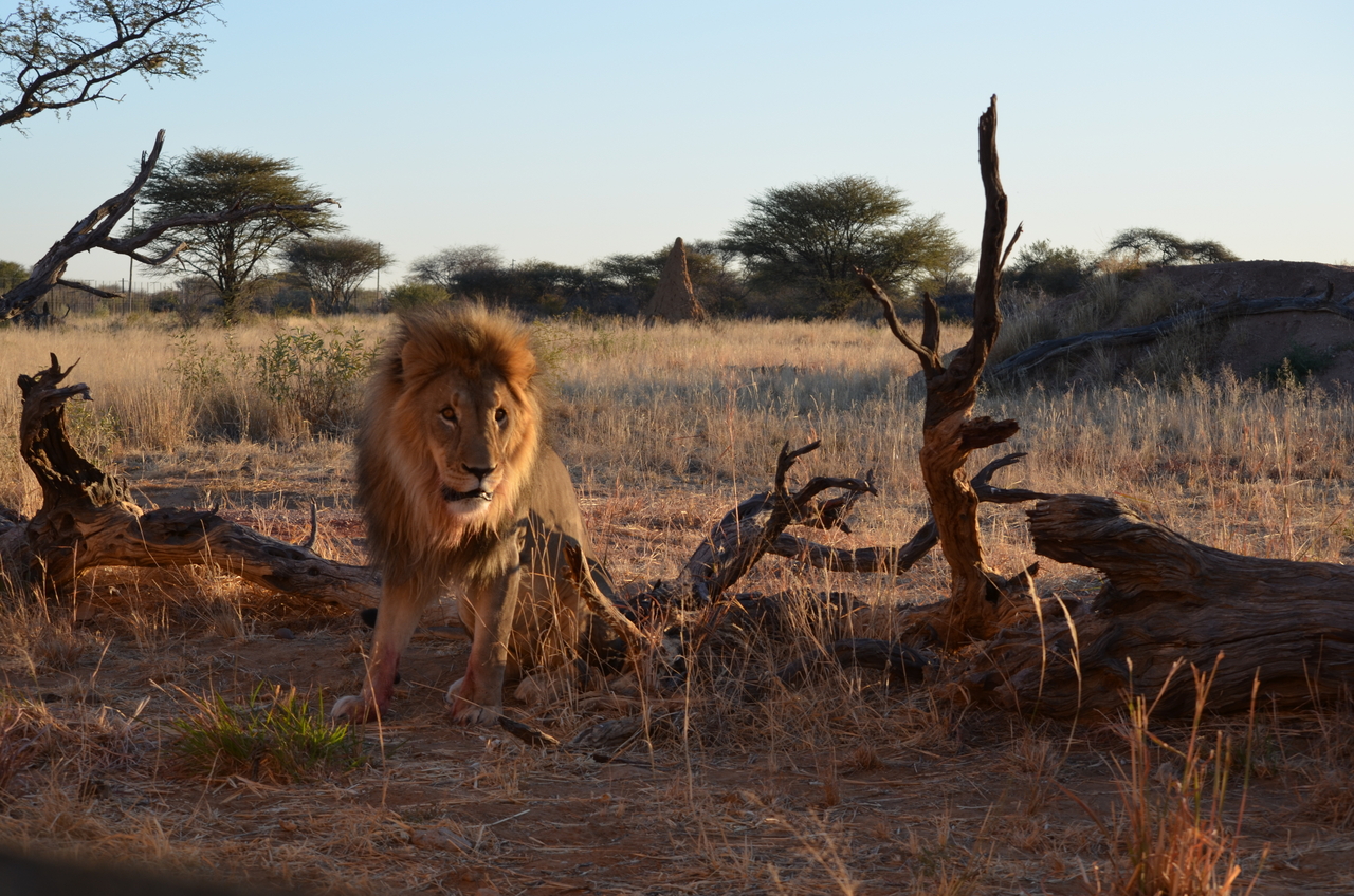 [5245] 2016_06_23_08_05_11_Africa_NIKON_D5100_IMG__04771.jpg