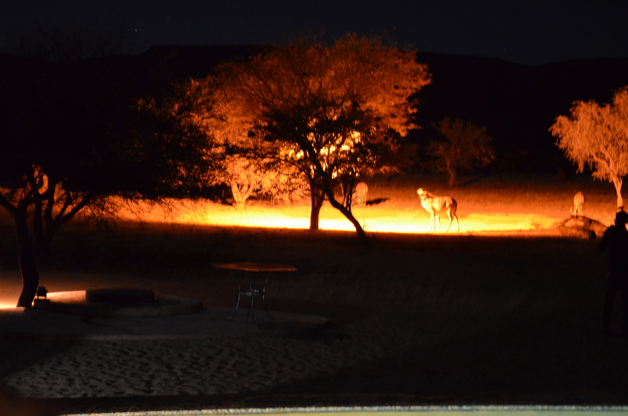 [9014] 2016_06_23_14_28_28_Africa_NIKON_D5100_IMG__00168.jpg