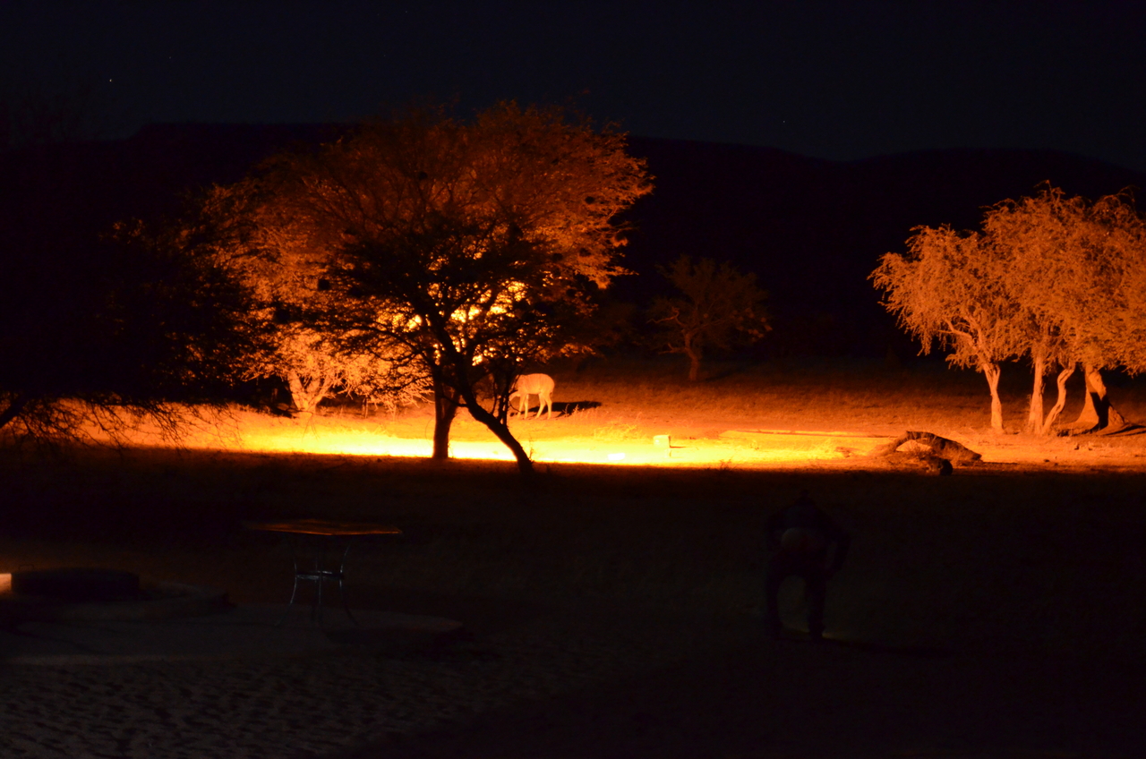 [9017] 2016_06_23_14_30_26_Africa_NIKON_D5100_IMG__04791.jpg