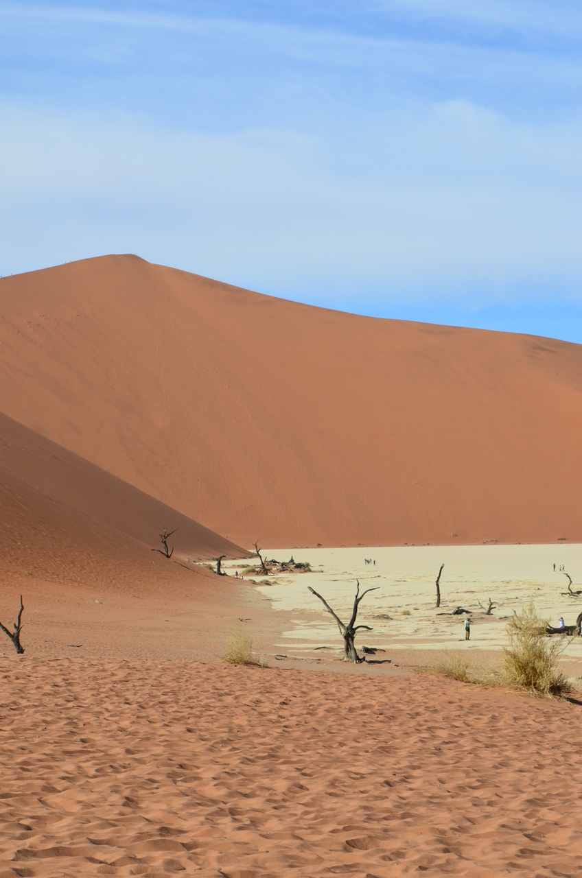 [14495] 2016_06_25_00_57_19_Africa_NIKON_D5100_IMG__00253.jpg
