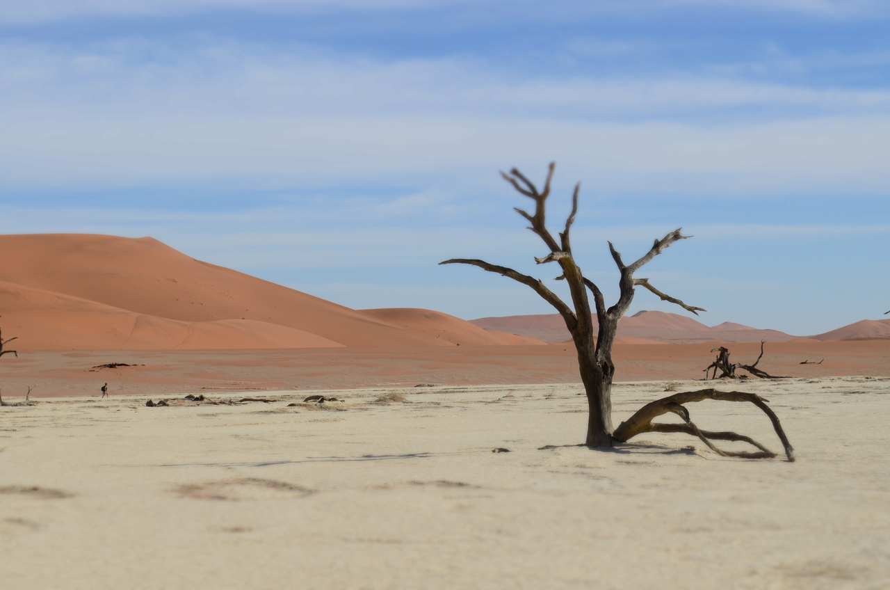 [14534] 2016_06_25_01_12_31_Africa_NIKON_D5100_IMG__04894.jpg
