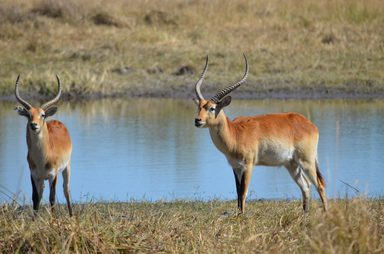 [17727] 2016_06_28_01_43_15_Africa_NIKON_D5100_IMG__05038.jpg