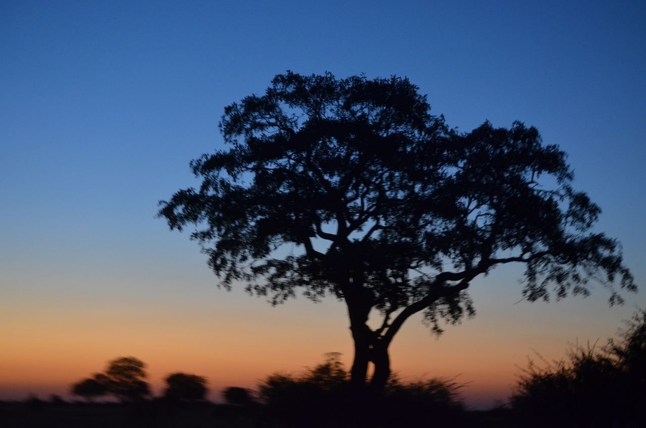 [21434] 2016_06_29_08_37_26_Africa_NIKON_D5100_IMG__05127.jpg
