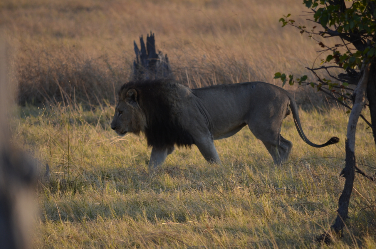 [22284] 2016_06_29_21_46_45_Africa_NIKON_D5100_IMG__00514.jpg