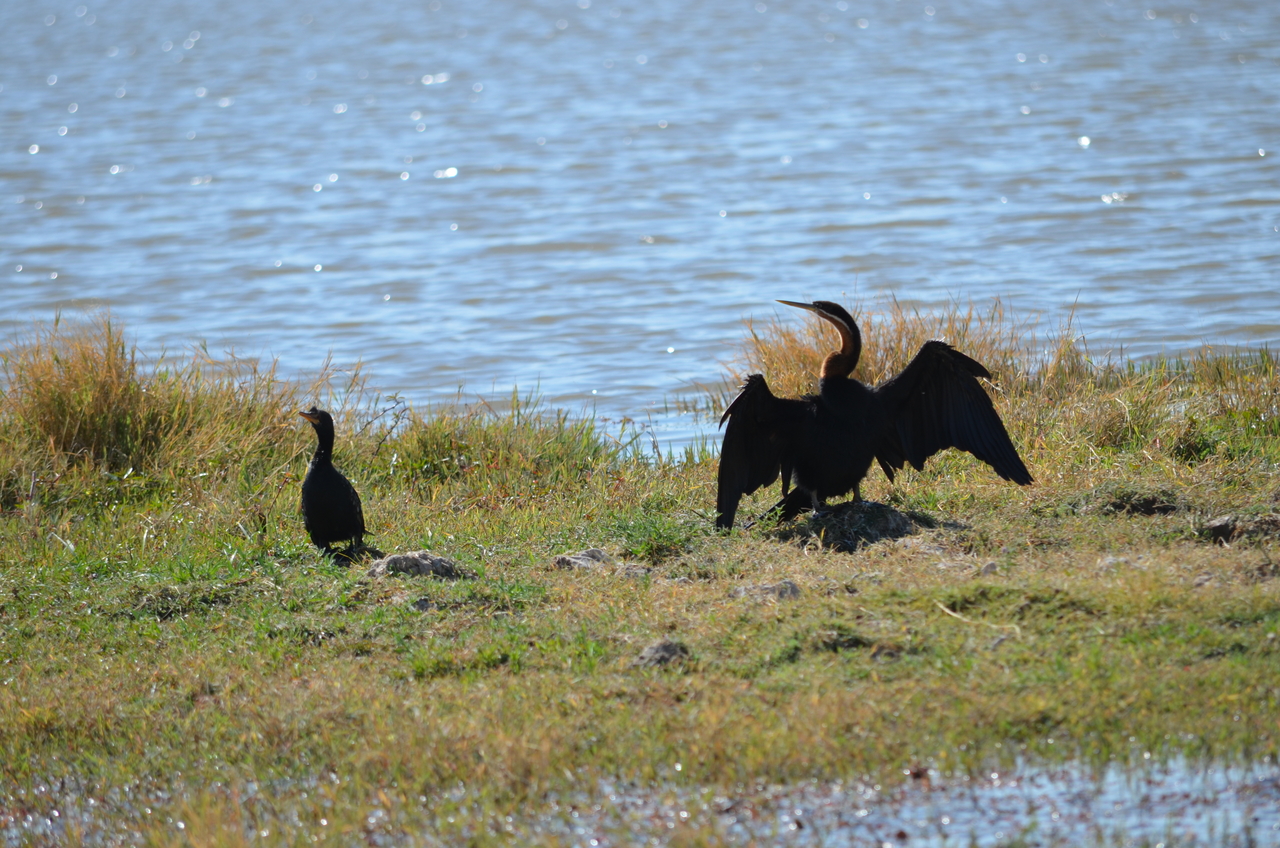 [22589] 2016_06_30_01_35_46_Africa_NIKON_D5100_IMG__00594.jpg