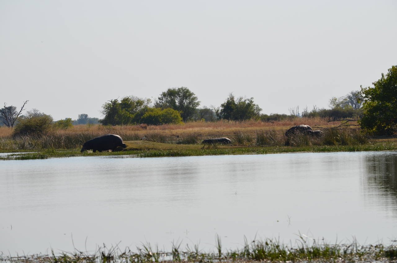 [23785] 2016_06_30_05_18_45_Africa_NIKON_D5100_IMG__00715.jpg