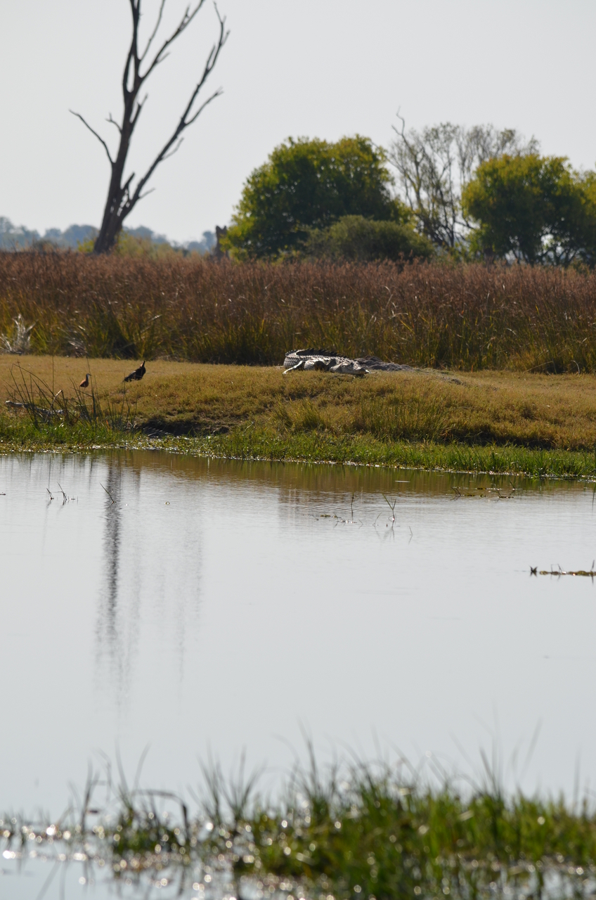 [23822] 2016_06_30_05_20_07_Africa_NIKON_D5100_IMG__00717.jpg