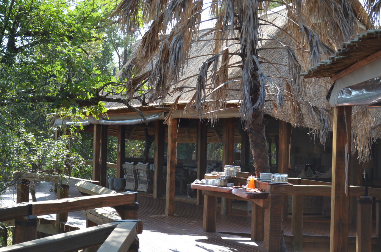[26715] 2016_07_01_04_35_14_Africa_NIKON_D5100_IMG__05391.jpg