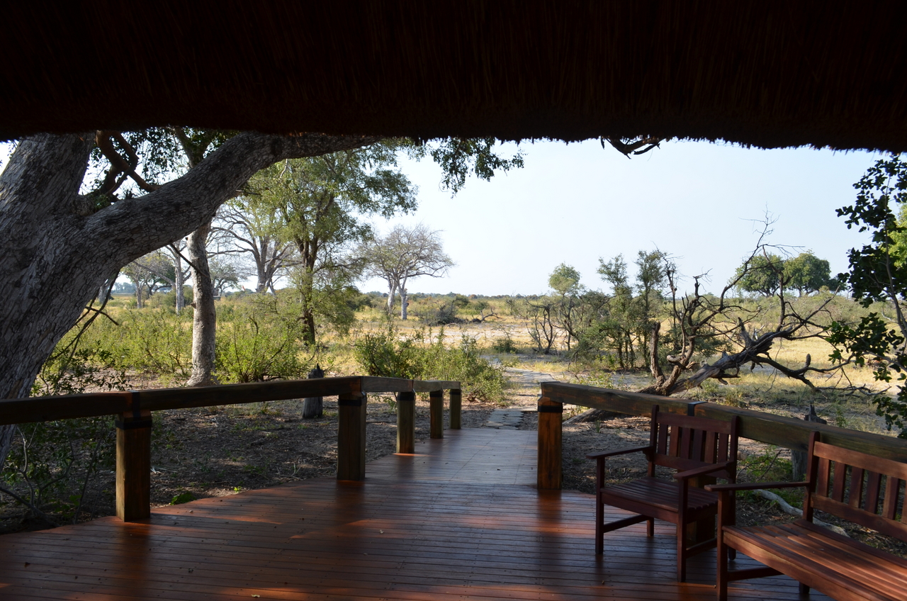 [26745] 2016_07_01_05_04_40_Africa_NIKON_D5100_IMG__05406.jpg