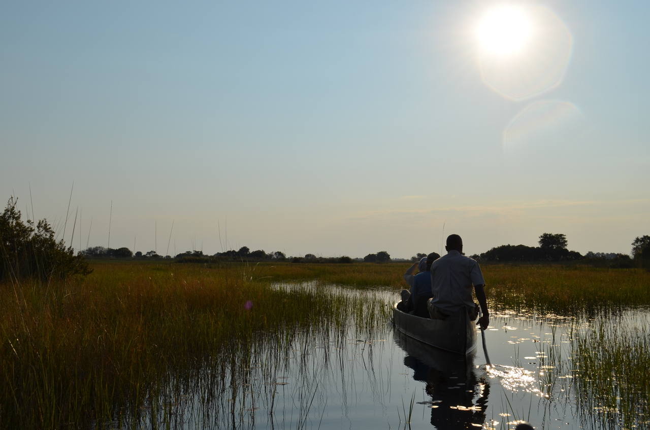 [26808] 2016_07_01_06_39_46_Africa_NIKON_D5100_IMG__00816.jpg