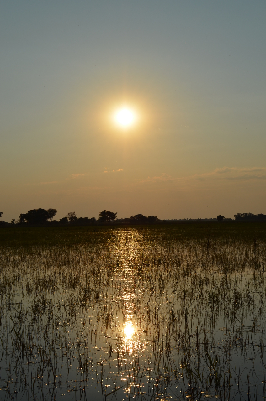 [26860] 2016_07_01_07_21_11_Africa_NIKON_D5100_IMG__00842.jpg