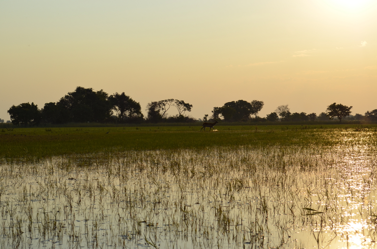 [26874] 2016_07_01_07_22_58_Africa_NIKON_D5100_IMG__00849.jpg