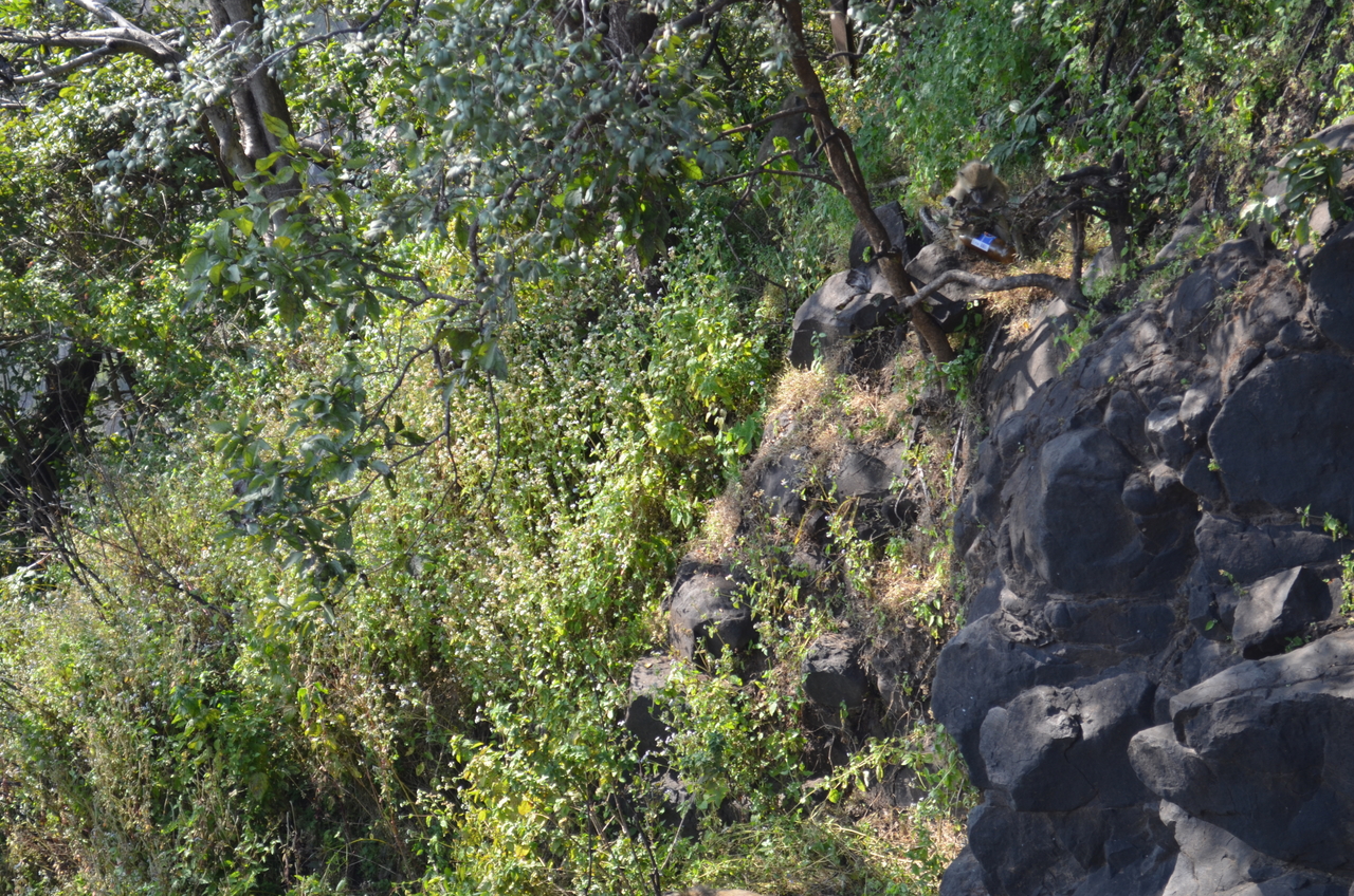 [28883] 2016_07_03_00_01_34_Africa_NIKON_D5100_IMG__05534.jpg