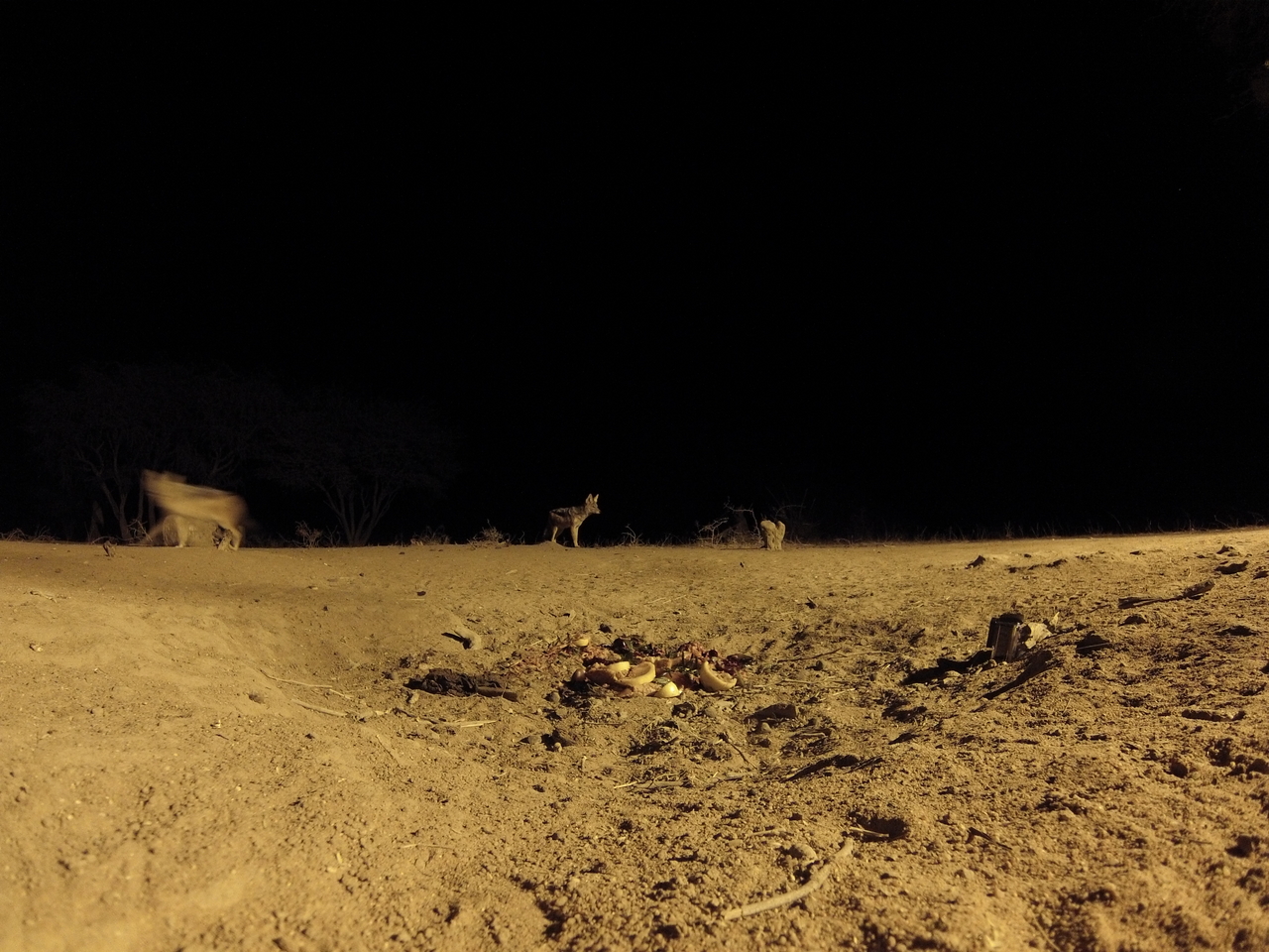 [3824] 2016_06_22_20_45_04_Africa_Hero3-Silver_Edition_IMG__00021.jpg