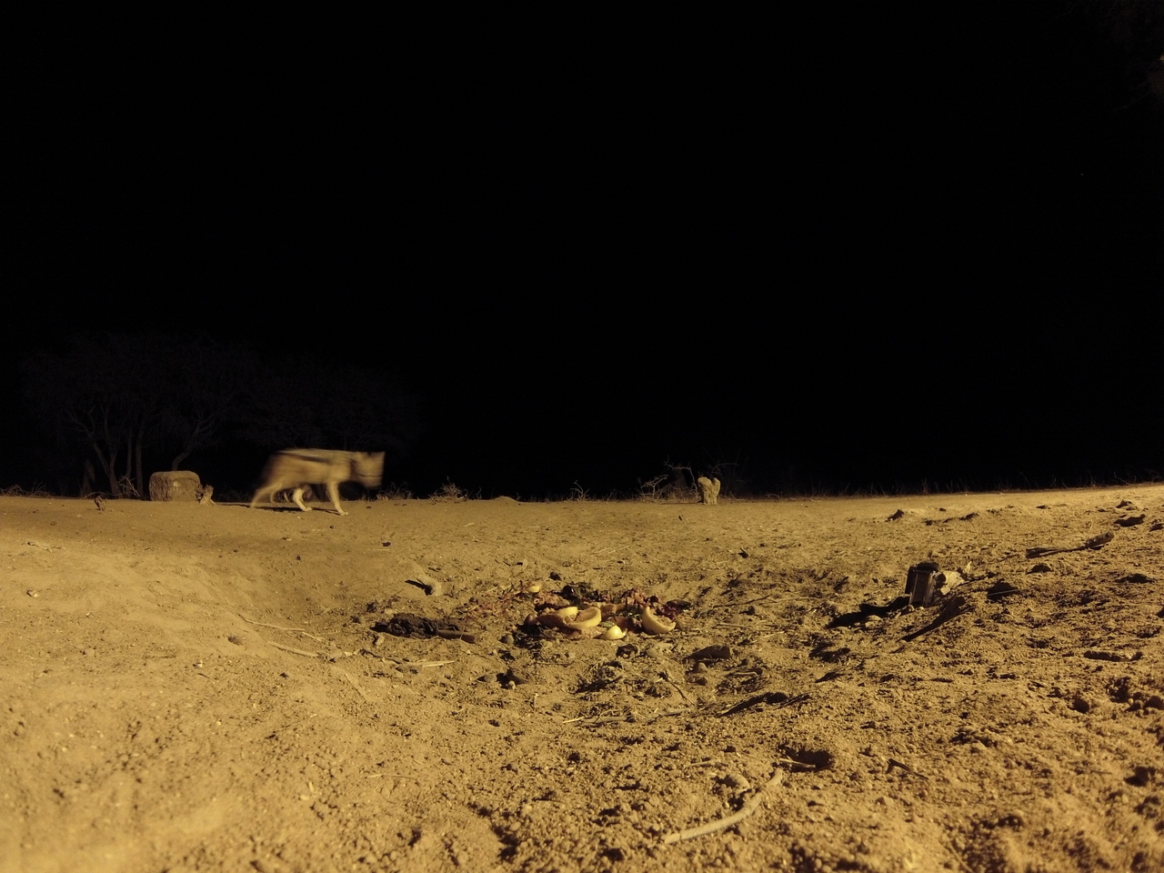 [3831] 2016_06_22_20_45_14_Africa_Hero3-Silver_Edition_IMG__00472.jpg