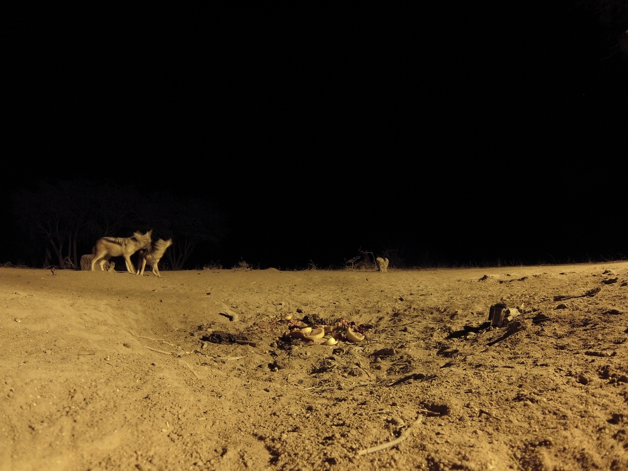 [3841] 2016_06_22_20_45_30_Africa_Hero3-Silver_Edition_IMG__00477.jpg