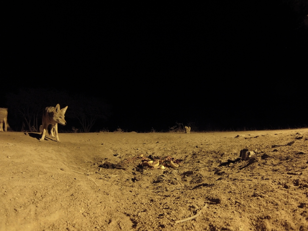 [3906] 2016_06_22_20_47_16_Africa_Hero3-Silver_Edition_IMG__00062.jpg