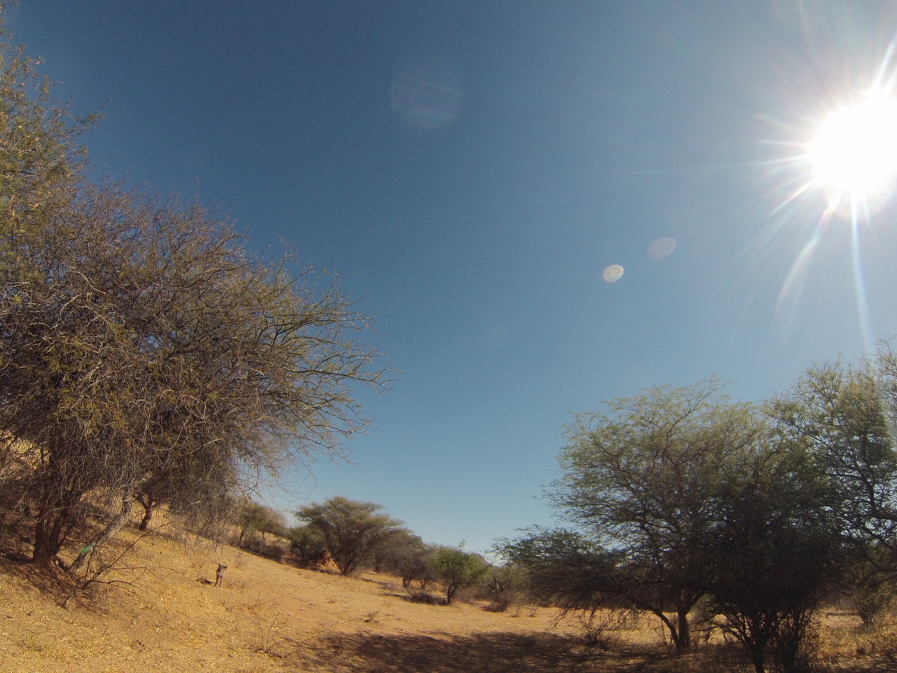 [8893] 2016_06_23_12_09_32_Africa_Hero3-Silver_Edition_IMG__00827.jpg