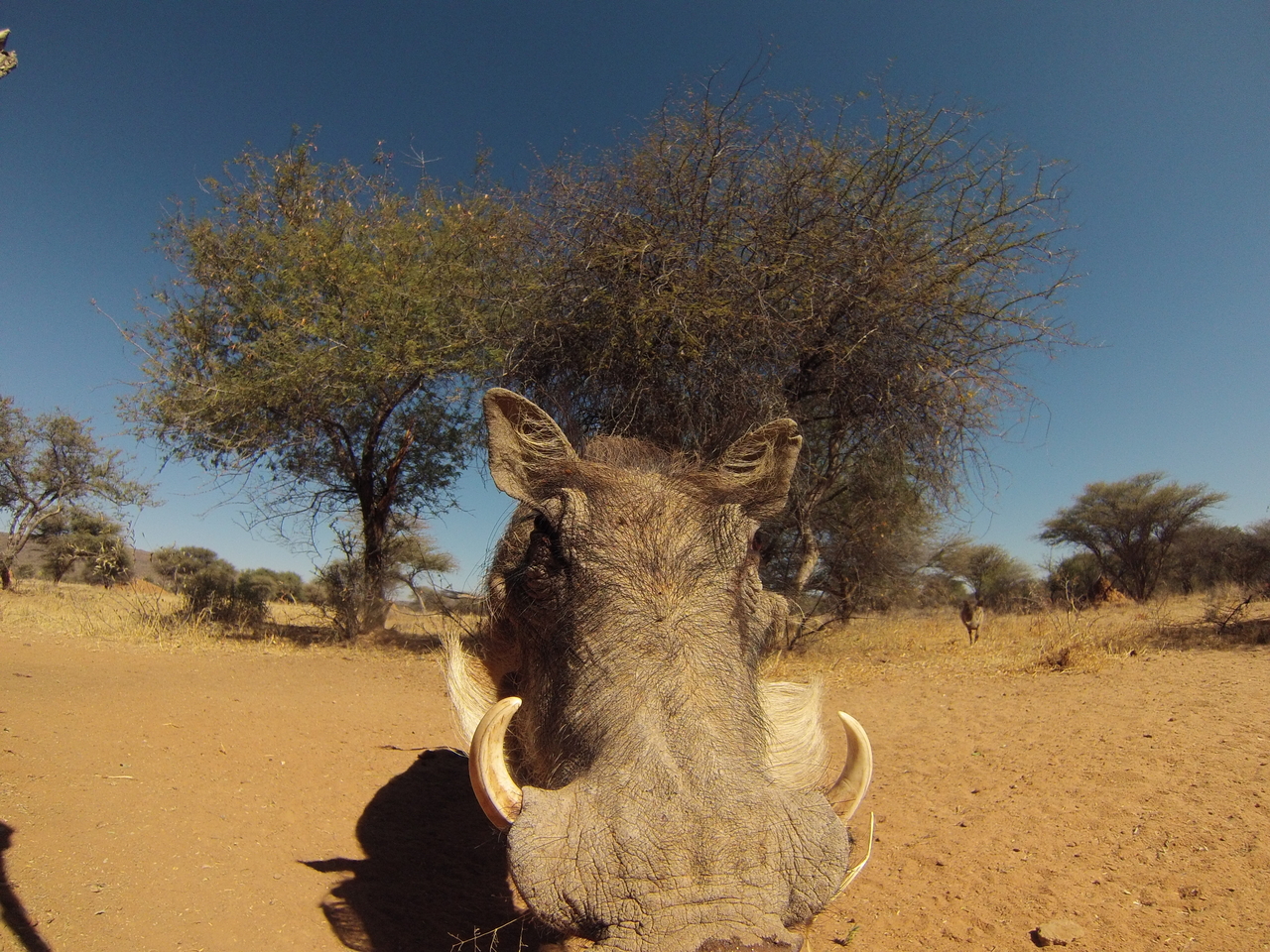 [8906] 2016_06_23_12_09_50_Africa_Hero3-Silver_Edition_IMG_7806_00392.jpg